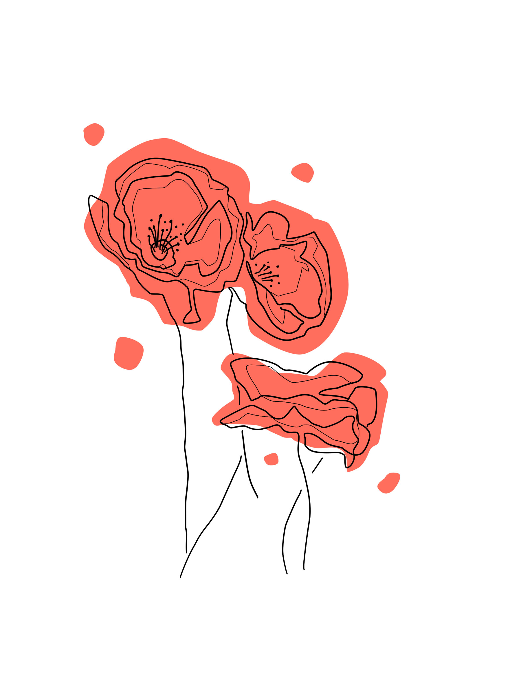 Illustration coquelicots stylisés