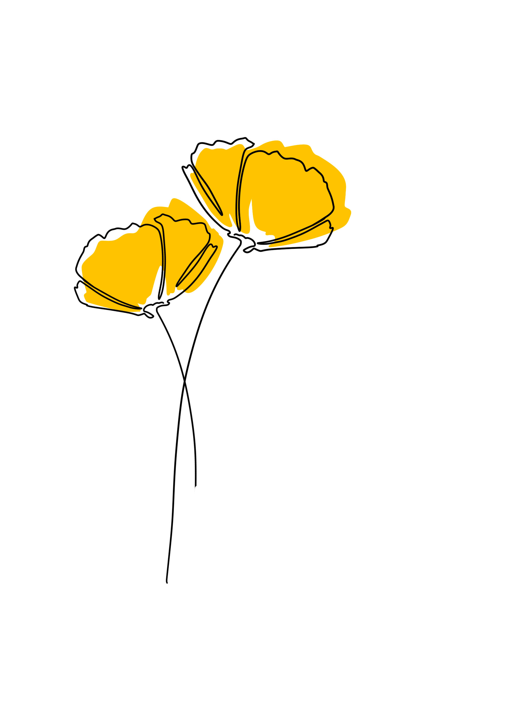 Illustration fleurs jaunes stylisées